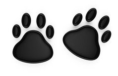 动物脚印符号
