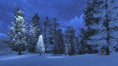 冬天的夜晚，在大雪松木 2