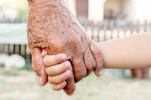 儿童控股祖父母或外祖父母的手