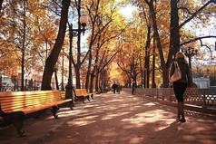公园长椅上秋季城市景观