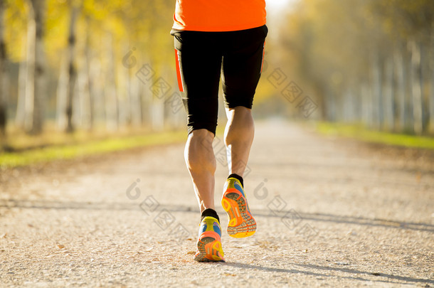 体育人与强犊牛肌肉<strong>户外</strong>跑步<strong>道路</strong>跟踪地面与树美丽的秋天阳光下