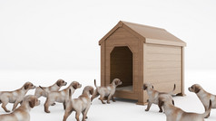 木制狗屋。概念大小狗屋