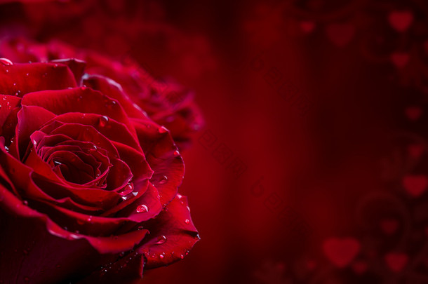玫瑰。红玫瑰。束红玫瑰。对花岗岩背景的几种玫瑰。<strong>情人节</strong>那天，婚礼天背景。玫瑰花瓣和心<strong>情人节</strong>礼品盒。<strong>情人节礼物</strong>和婚礼边境。水域滴眼液对玫瑰花瓣