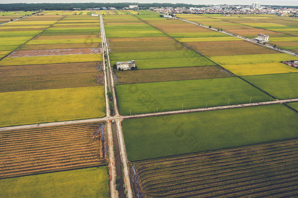 空中照片从飞行无人机的农田与绿色<strong>稻田</strong>在亚洲。马来西亚乡村的耕地与<strong>稻田</strong>