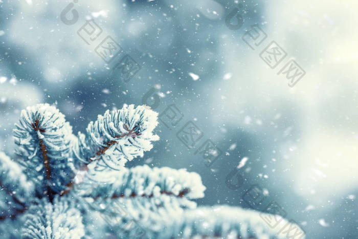 松树枝覆盖霜在多雪的氛围图片-包图网企业站
