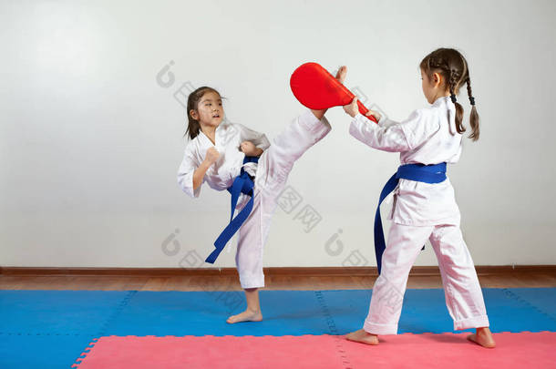 两个小女孩展示武术一起工作