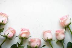 粉色的玫瑰，在白色的石头表.