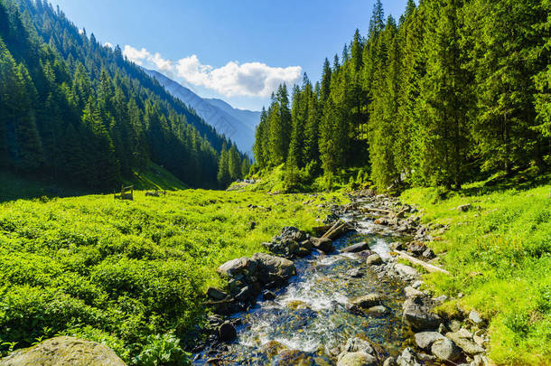 美丽的风景，与在 Fagarasi 山的<strong>山区河流</strong>