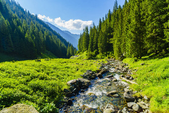 美丽的风景，与在 Fagarasi 山的山区河流图片