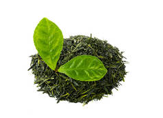 绿色煎茶茶与茶树叶上白色孤立