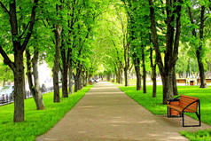城市公园与长廊路径长椅和大的绿树