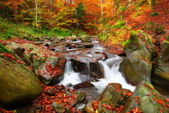 瀑布的壮观的看法在秋天山毛榉森林里