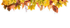 秋天的树叶、 花朵、 浆果南瓜背景