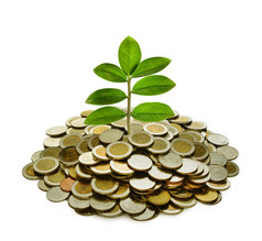 以植物为顶的一堆硬币图象在白色背景上被隔绝的商业, 储蓄, 成长, 经济概念