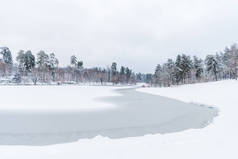 冬季公园冰雪覆盖的树木与冰冻湖泊景观