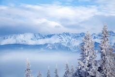 美丽的雪山景观。圣诞节的冬季美景.