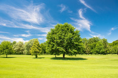 高尔夫球场美丽的蓝天绿地景观