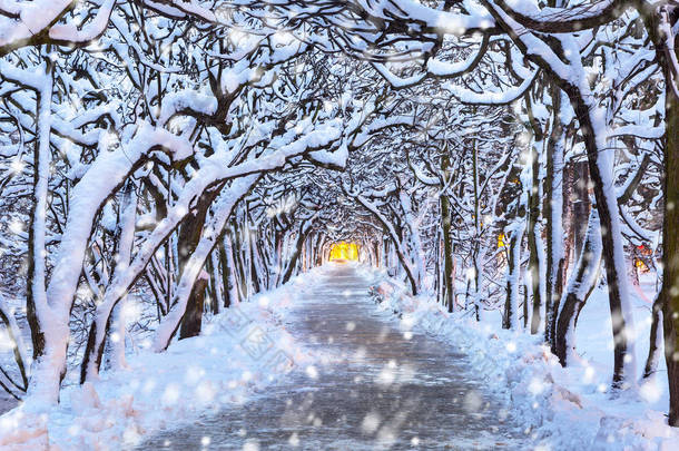 波兰公园胡同里的白雪皑皑的冬日风光