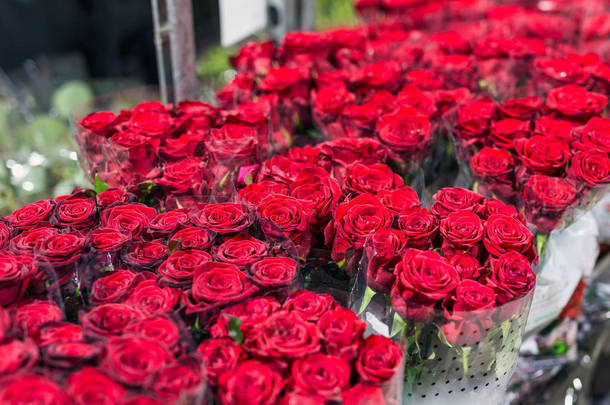 美丽的新鲜<strong>红玫瑰</strong>在 flowermarket。批发花卉店。零售和毛切<strong>花店</strong>概念