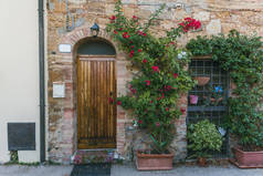 城市场面与大厦与木门和绿色植物与花在它, 托斯卡纳, 意大利
