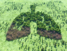 一幅干森林的肺形态森林概念意象--3d 图解
