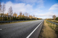 从一个晴朗的秋日看拉脱维亚的沥青乡间小路
