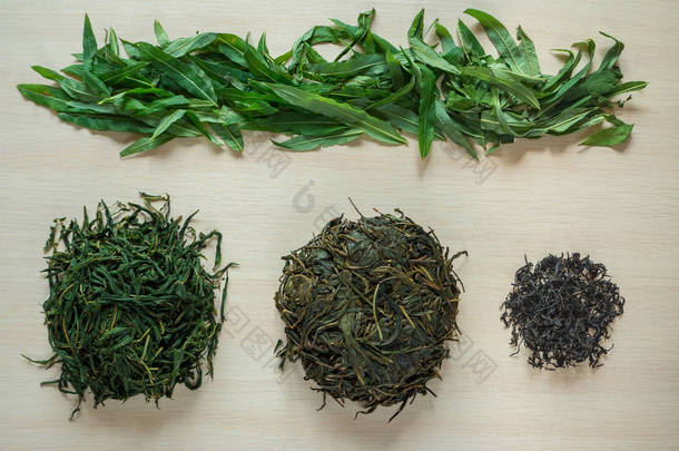 发酵茶叶生产阶段。发酵伊凡茶.