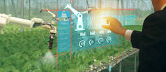 物智能工业机器人4.0 农业概念, 农艺师, 农民 (模糊) 使用智能眼镜 (增强混合虚拟现实, 人工智能技术) 监测自主机器人