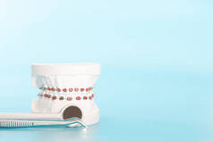 口腔健康概念中的正畸牙科模型.