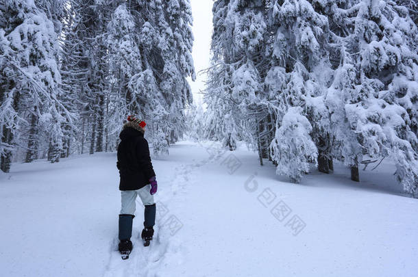 滑雪套房的女孩走在小径上。在积雪覆盖的草坪上, 漂亮的树在寒冷的冬天早晨矗立着雪花。美丽的冬天背景。梦幻般的冷杉在魔法森林.