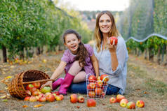 一个小女孩和美丽的母亲在有机果园里拿着红色的苹果的画像。快乐的女人和小女儿从树上采摘成熟的水果,玩得很开心.家庭收获季节.