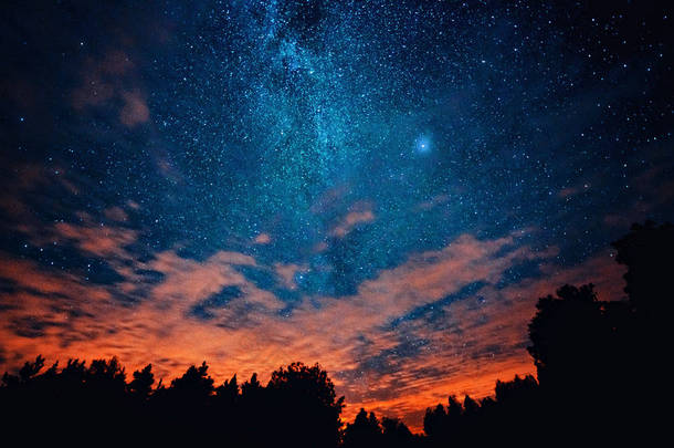 在一个晴朗的夜空与银河系和橙色的天空的一部分的树木剪影。瑞典