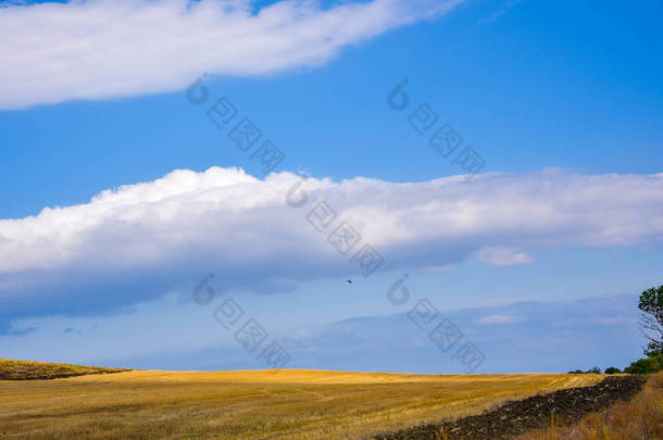 红色草地、蓝天和云朵的黄色田野