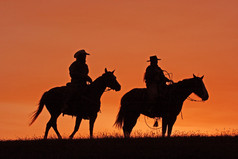 牛仔在日落时骑马剪影