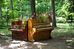在公园里的两架钢琴