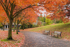 步行和自行车在秋天的公园里的小路