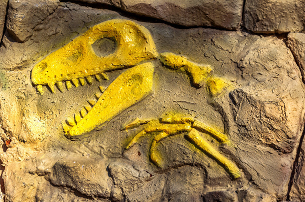 中生代 e 史前恐龙化石的头部模型