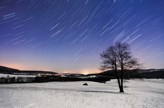 晚上-与明星冬天的树