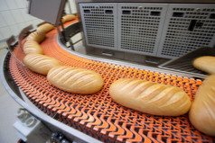 面包烘焙食物制造厂.