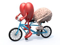 大脑和心脏骑双人自行车