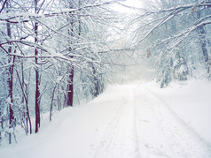 被雪封住的乡村道路