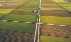 空中照片从飞行无人机的亚洲乡村的美丽景观与有机水稻植物的健康和素食饮食.