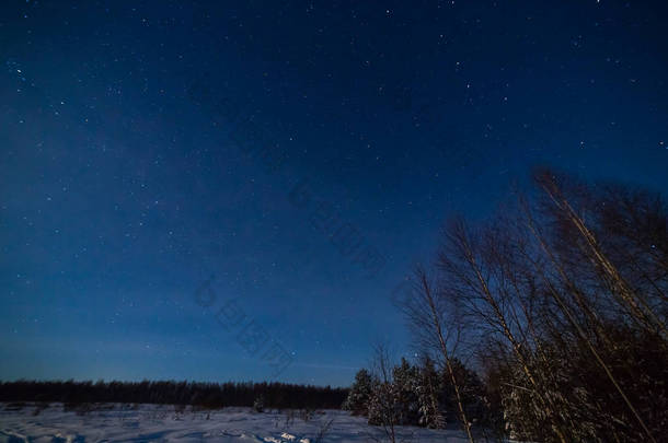 冬夜的风景与<strong>星空下</strong>的树林