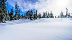 风景的一部分的高山的太阳峰滑雪度假村在加拿大不列颠哥伦比亚省