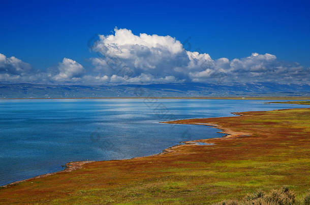 在中国最大的湖泊<strong>青海湖</strong>.