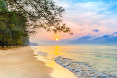 美丽的日出是在热带沙滩上一点波浪和松树行夏季放松的假期时间