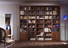 客厅与图书馆环境