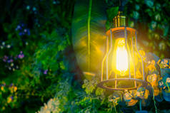 在森林绿色的植物背景，丛林咖啡馆室内装饰灯.