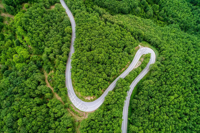 省道穿过一片森林的鸟瞰图