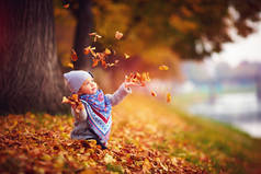 可爱的快乐姑娘把落叶扔了起来，在秋天的公园里玩耍